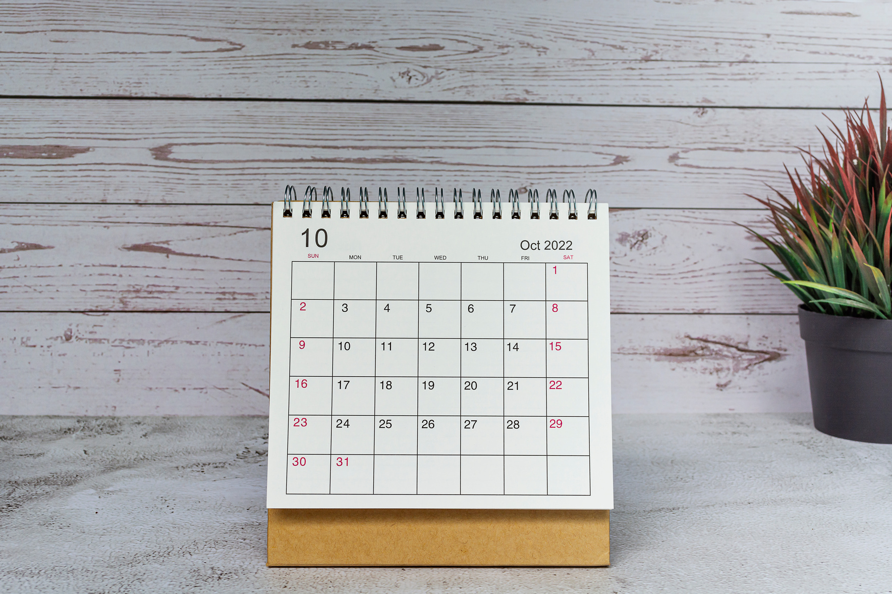 White October 2022 calendar with potted plant on wooden desk